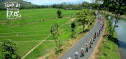 ITDBI2019 OFFICIAL